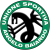 logo Baiardo